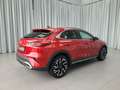 Kia XCeed Gold Matrix Teilled. Rojo - thumbnail 5