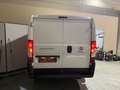 Fiat Ducato IVA INCLUSA! Weiß - thumbnail 3