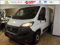 Fiat Ducato IVA INCLUSA! Weiß - thumbnail 1