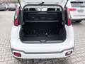 Fiat Panda Cross Mild Hybrid Komfort Paket Tech Paket Weiß - thumbnail 13
