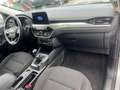 Ford Kuga 2.0 ecoblue mhev Titanium 2wd 150cv*DIESEL IBRIDA Grigio - thumbnail 15