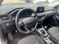Ford Kuga 2.0 ecoblue mhev Titanium 2wd 150cv*DIESEL IBRIDA Grigio - thumbnail 9