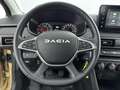 Dacia Sandero Stepway 1.1 110 pk Expression | Camera | Carplay | Brun - thumbnail 24