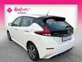 Nissan Leaf ACENTA 40kw (*WINTERPAKET*RÜCKFAHRKAMERA*) Weiß - thumbnail 4