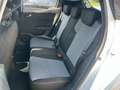 Renault Clio ECO-G 100 CV 5 porte Evolution KM 0 - PROMO Bianco - thumbnail 7
