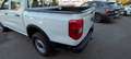Ford Ranger Ranger 2.0 ecoblue d\cabina XL 170cv 34.200 + IVA Bianco - thumbnail 5