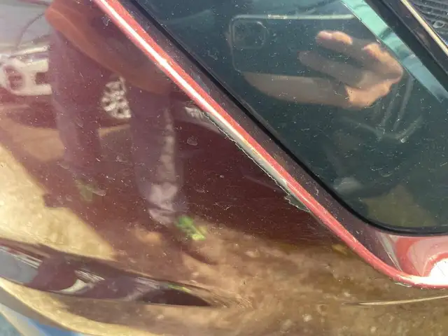 Nissan Juke view 19