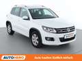 Volkswagen Tiguan 2.0 TDI Sport Austria BlueMotion Tech R-Line Weiß - thumbnail 8