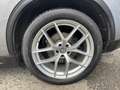 Alfa Romeo Stelvio 2.0 First Edition I Q4 Aut. 280 - thumbnail 20