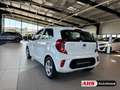 Kia Picanto Edition 7 1.0 EU6d Klima DAB Freisprecheinrichtung Alb - thumbnail 4