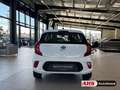 Kia Picanto Edition 7 1.0 EU6d Klima DAB Freisprecheinrichtung Alb - thumbnail 5