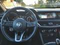 Alfa Romeo Stelvio SUPER 2.2 TD 160 CV AT8 TELECAMERA NAVIGATORE Grau - thumbnail 14