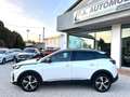 Peugeot 3008 BlueHDi 130 S&S EAT8 GT Pack *PANORAMA*MASSAGG*ACC Bianco - thumbnail 10