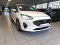 Ford Fiesta 1.1 75cv Titanium Gpl "NEOPATENTATI" Blanco - thumbnail 7
