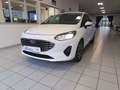 Ford Fiesta 1.1 75cv Titanium Gpl "NEOPATENTATI" Blanco - thumbnail 1