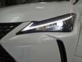 Lexus UX 300h 2.0  Plus Blanco - thumbnail 31