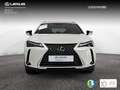 Lexus UX 300h 2.0  Plus Blanco - thumbnail 5