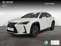 Lexus UX 300h 2.0  Plus Blanco - thumbnail 1