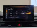Audi A4 allroad 40 TDI 204cv S tronic quattro Bus.Evolution Navi Noir - thumbnail 30
