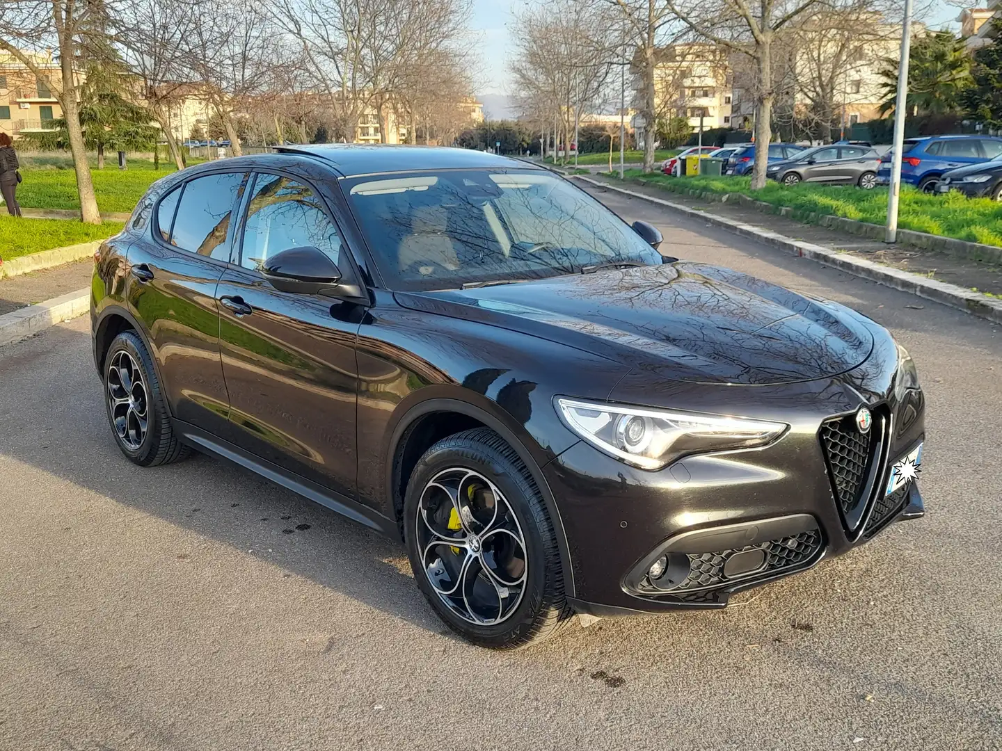 Alfa Romeo Stelvio Stelvio 2.2 t Executive Q4 180cv auto Nero - 2