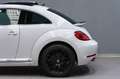 Volkswagen Beetle 2.0TDI R-Line DSG 140 Blanco - thumbnail 11