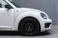 Volkswagen Beetle 2.0TDI R-Line DSG 140 Blanco - thumbnail 7