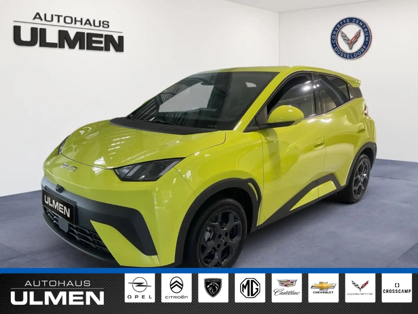 BYD Dolphin 115KW Comfort Leder Navi Sitzheizung DAB+ Soundsys Grün - 2