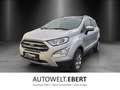 Ford EcoSport 1.0 Titanium PDC/Bi-XENON/NAVI/GRA/SHZ/ Silber - thumbnail 1