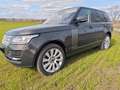 Land Rover Range Rover Vogue 4.4 V8 Braun - thumbnail 4