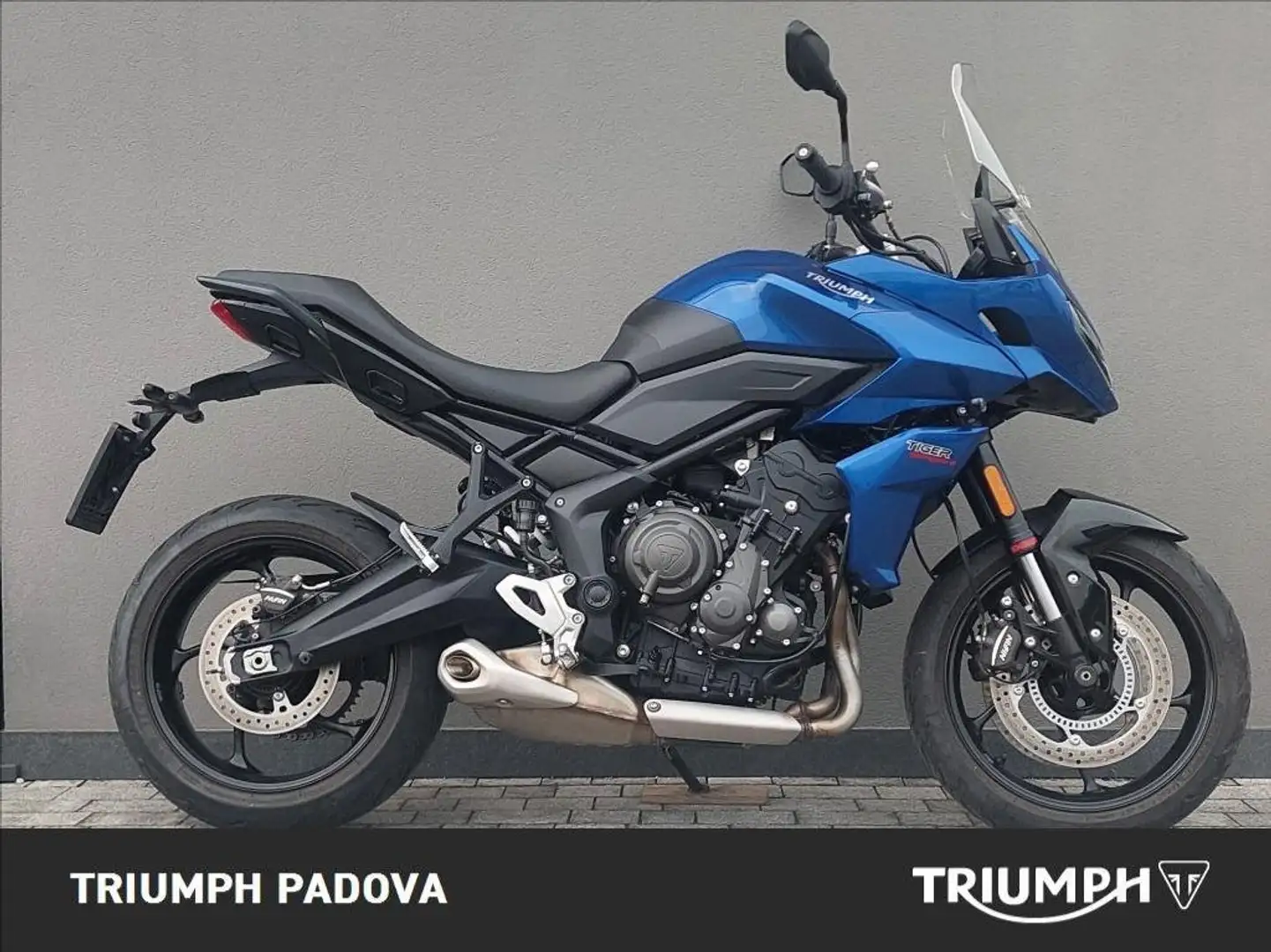Triumph Tiger Sport 660 Blau - 1