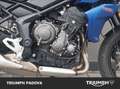 Triumph Tiger Sport 660 Blau - thumbnail 3