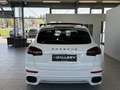 Porsche Cayenne II Platinum Edition Aut.*Sport-Design*PDLS*Bose Weiß - thumbnail 5