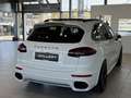 Porsche Cayenne II Platinum Edition Aut.*Sport-Design*PDLS*Bose Weiß - thumbnail 4