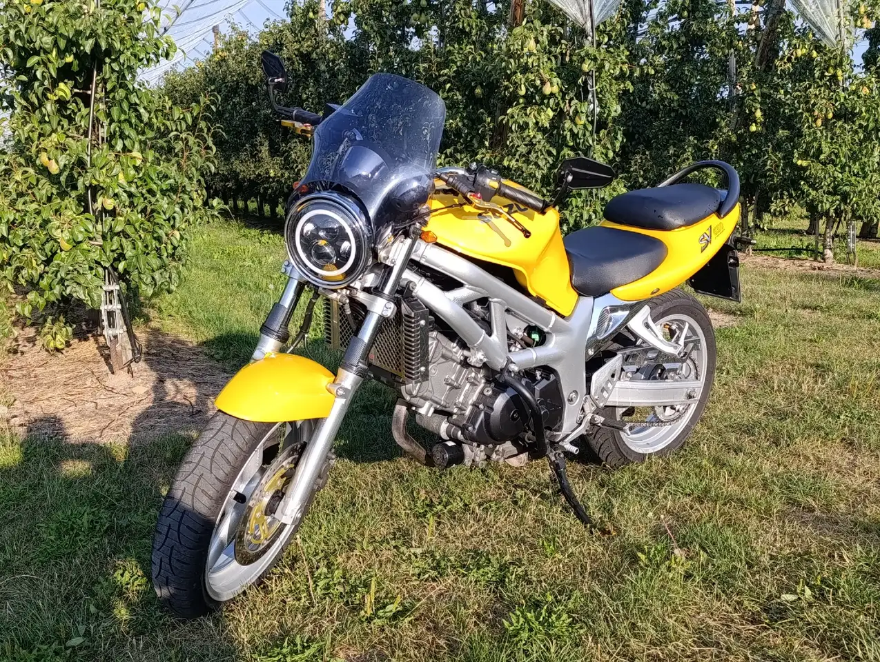 Suzuki SV 650