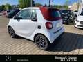 smart forTwo fortwo cabrio passion Navi*Verdeck in Rot* PTS* BC Weiß - thumbnail 18