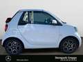 smart forTwo fortwo cabrio passion Navi*Verdeck in Rot* PTS* BC Weiß - thumbnail 6