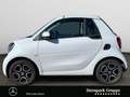 smart forTwo fortwo cabrio passion Navi*Verdeck in Rot* PTS* BC Weiß - thumbnail 2