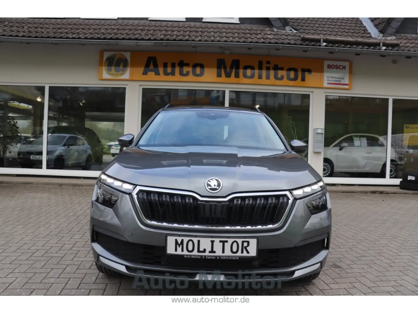 Skoda Kamiq LED Sperrdiff. Apple CarPlay Android Auto 2-Zonen- Grau - 2