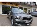 Skoda Kamiq LED Sperrdiff. Apple CarPlay Android Auto 2-Zonen- Grau - thumbnail 3