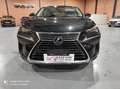 Lexus NX 300 300h Premium+ 4WD Negro - thumbnail 5
