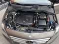 Mercedes-Benz B 200 CDI Marrón - thumbnail 11