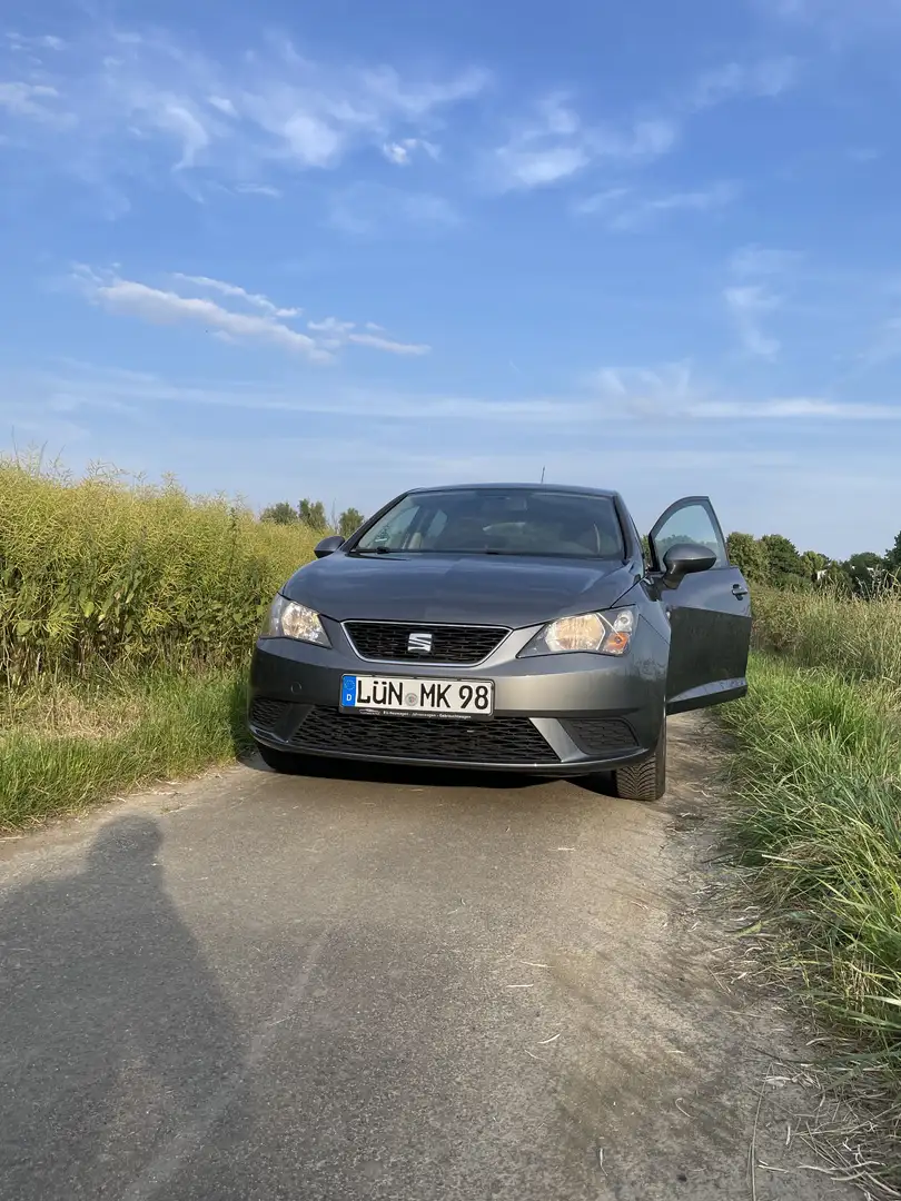 SEAT Ibiza Style 1.2 TSI Grau - 2