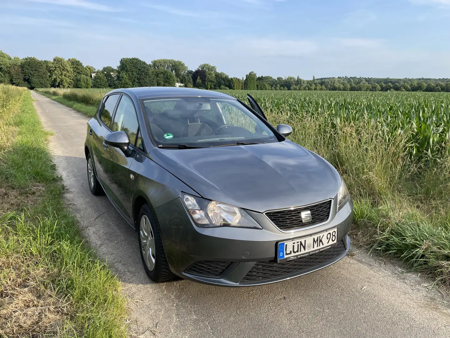 SEAT Ibiza Style 1.2 TSI Grau - 1