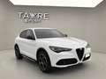 Alfa Romeo Stelvio 2.2 Veloce Q4 210 Aut. - thumbnail 1