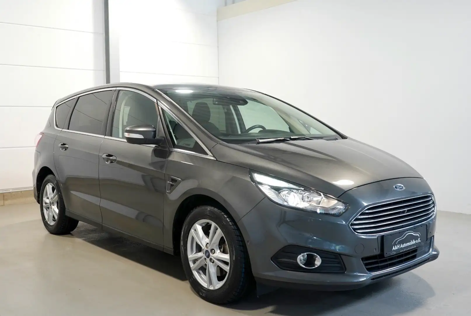 Ford S-Max S-MAX 2.0 EcoBlue Aut. Titanium *AHK*LED*KAMERA* Grijs - 1