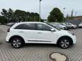 Kia Niro 1.6 Plug-in Hybrid Spirit Білий - thumbnail 3