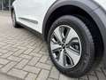 Kia Niro 1.6 Plug-in Hybrid Spirit Білий - thumbnail 16