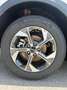 Kia XCeed XCEED/SILBER/1.0 TGDI/MT6/115/MY26 Weiß - thumbnail 5