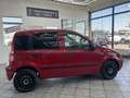 Fiat Panda 1.2 8V MyLive, Klima, HU neu ! Rot - thumbnail 9
