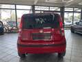 Fiat Panda 1.2 8V MyLive, Klima, HU neu ! Rot - thumbnail 6